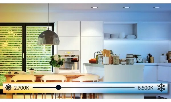 Eglo 98293 - LED stmievateľné stropné svietidlo FUEVA-A LED/20W/230V + diaľkový ovládač