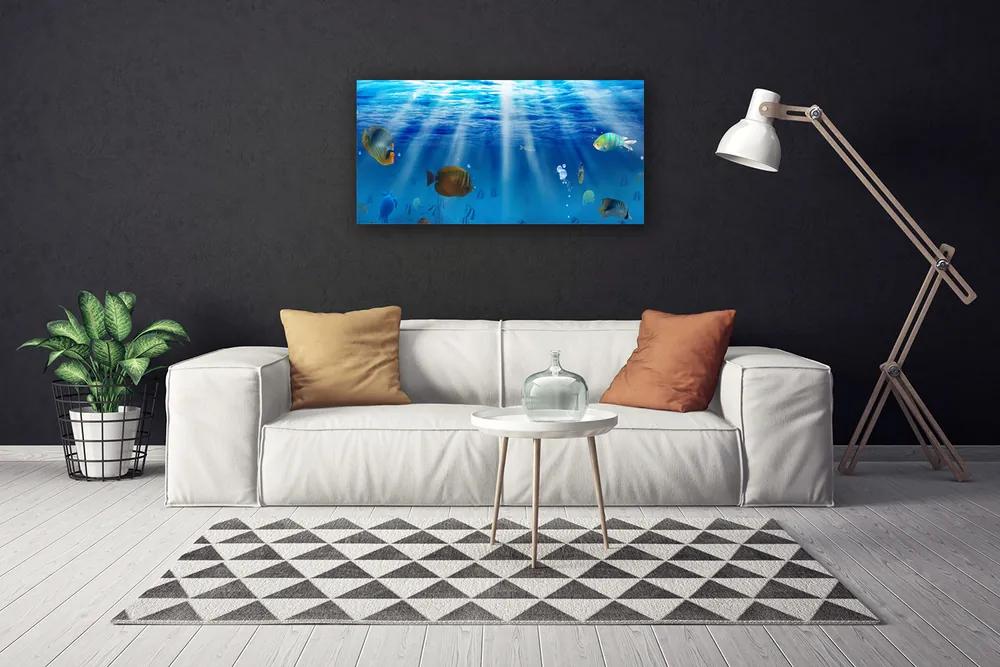 Obraz na plátne Ryba príroda 120x60 cm