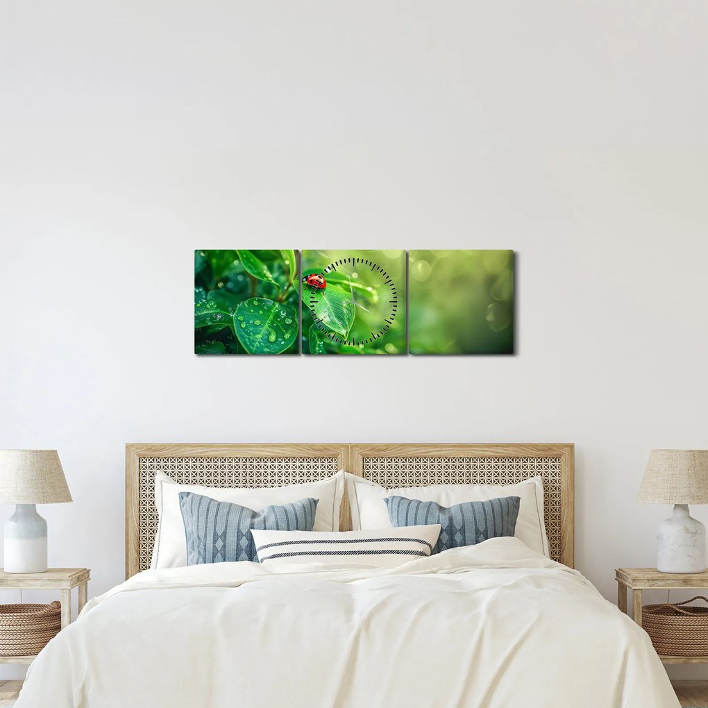 Obraz - Lienka (s hodinami) (90x30 cm)