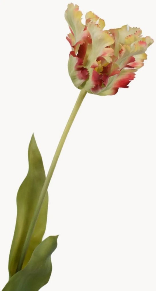 Rastlinné dekorácie Tulip Real Touch, 2 ks
