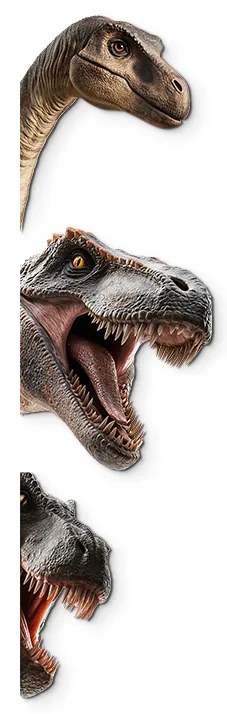 drevko |  Dekorácia na stenu Dinosaury  140 x 395 cm