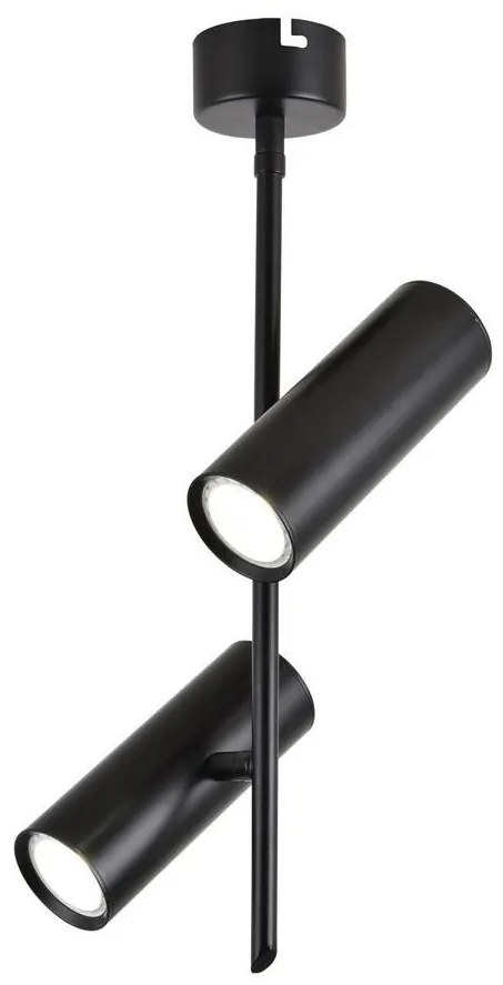 LED Bodové svietidlo TUBA 2xLED/10W/230V čierna