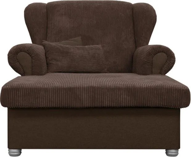 Tmavohnedá menčestrová leňoška Lord – Ropez