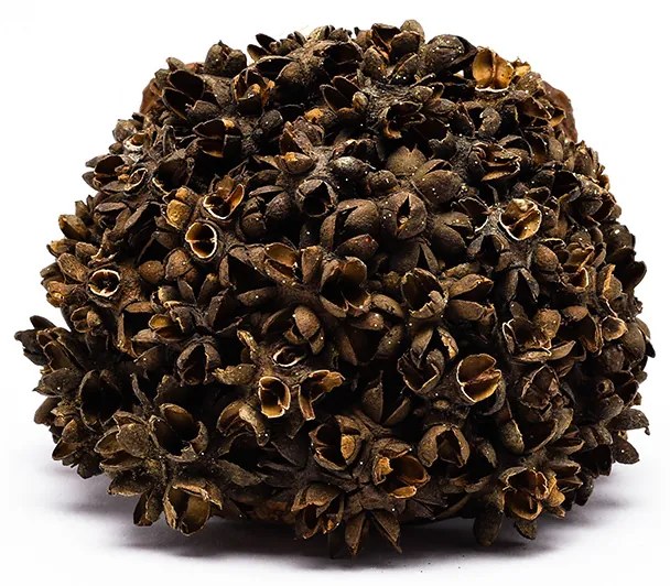 DECOLED Dekorace ježek, 11x8,5 cm