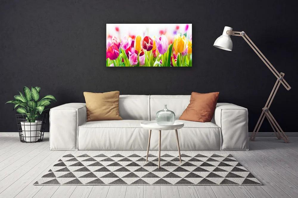 Obraz na plátne Tulipány kvety 120x60 cm