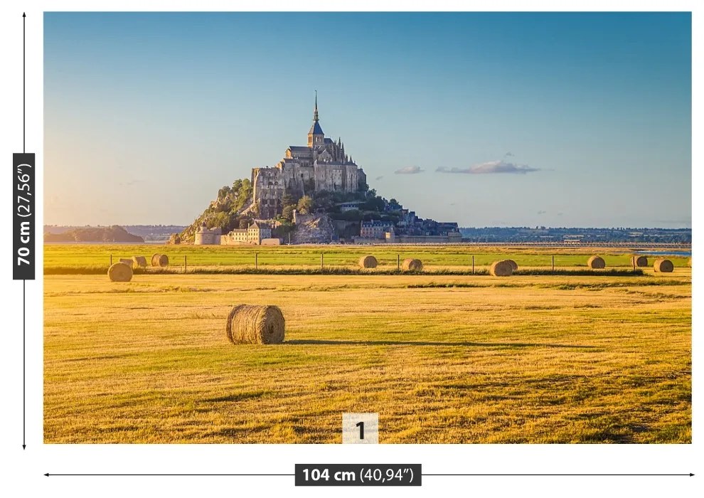 Fototapeta Vliesová Le mont saintmichel 208x146 cm