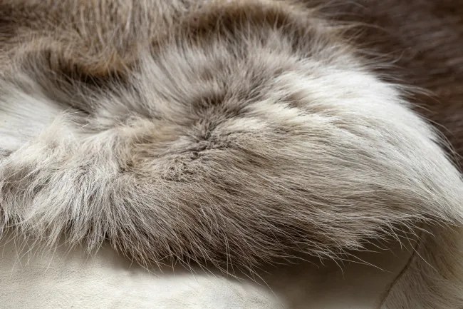 Koberec RENIFER POK008 PREMIUM hnedý / béžový