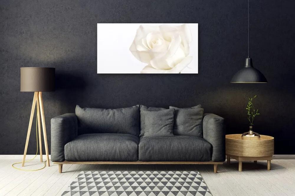 Skleneny obraz Ruže kvety 100x50 cm