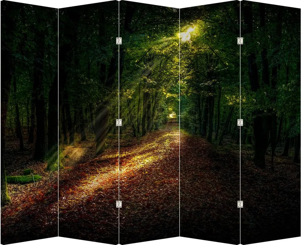 Paraván - Lesná cesta (210x170 cm)