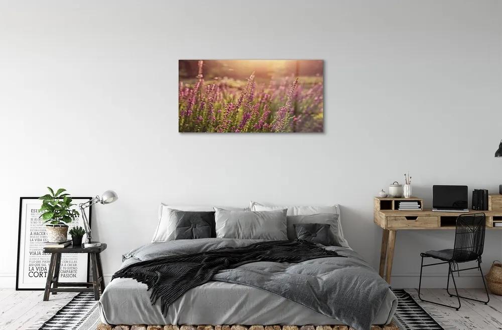 Sklenený obraz heather pole 125x50 cm