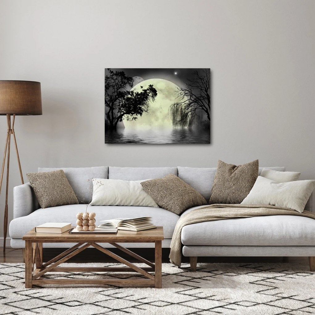 Obraz - Spln nad hladinou, čiernobiely variant (70x50 cm)