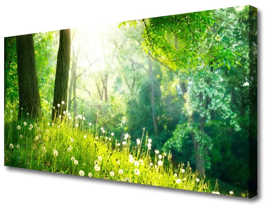 Obraz Canvas Lúka príroda rastlina 140x70 cm