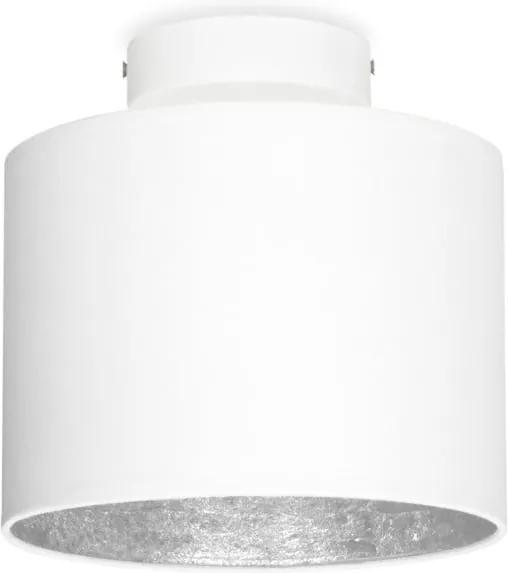 Biele stropné svietidlo s detailom v striebornej farbe Sotto Luce MIKA Elementary XS CP