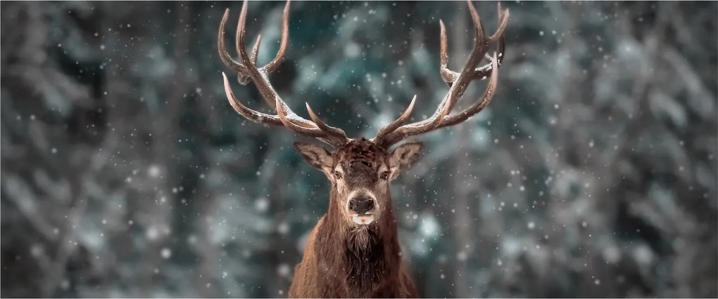 Obraz - Majestátnosť jeleňa (120x50 cm)