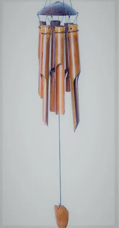 Zvonkohra bambus, 50 cm