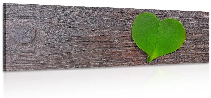 Obraz list v tvare srdca na drevenom podklade