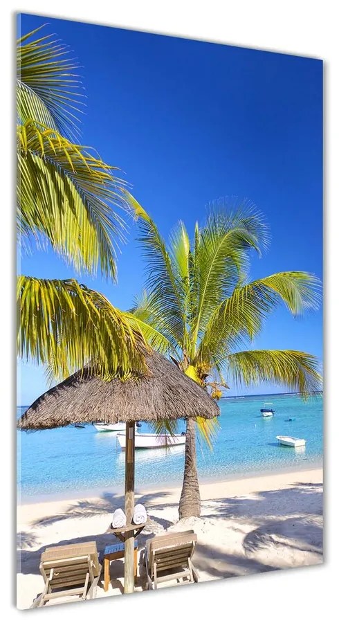 Foto obraz akrylové sklo Tropická pláž pl-oa-70x140-f-89713117