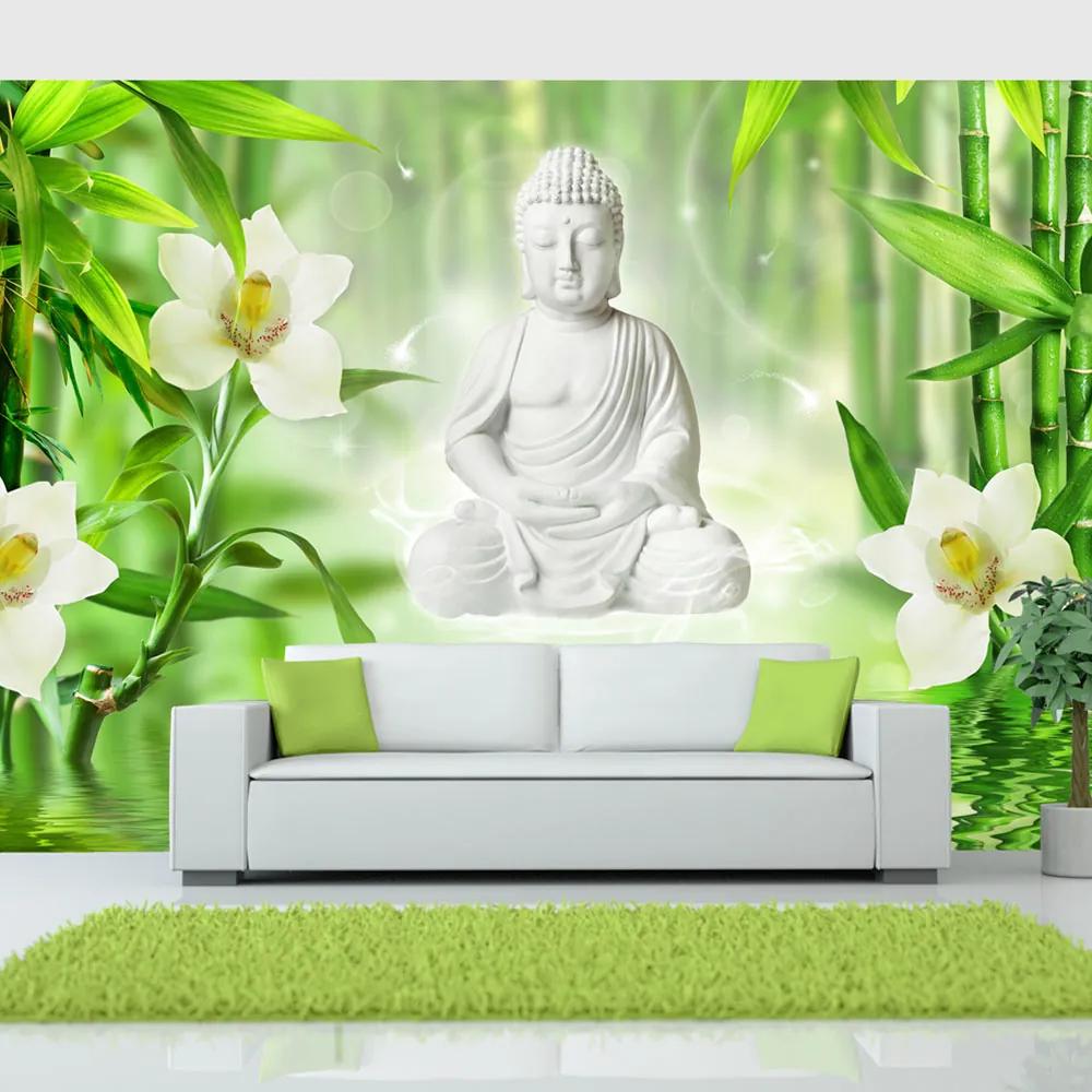 Artgeist Fototapeta - Buddha and nature Veľkosť: 100x70, Verzia: Standard