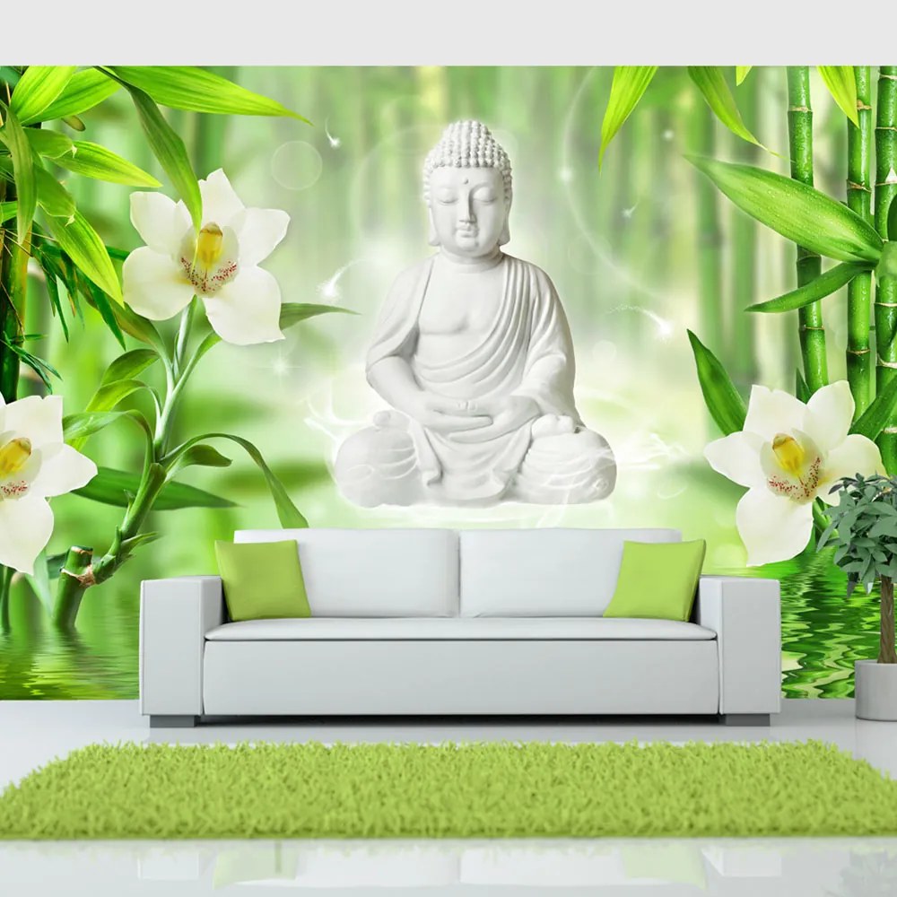 Artgeist Fototapeta - Buddha and nature Veľkosť: 350x245, Verzia: Standard