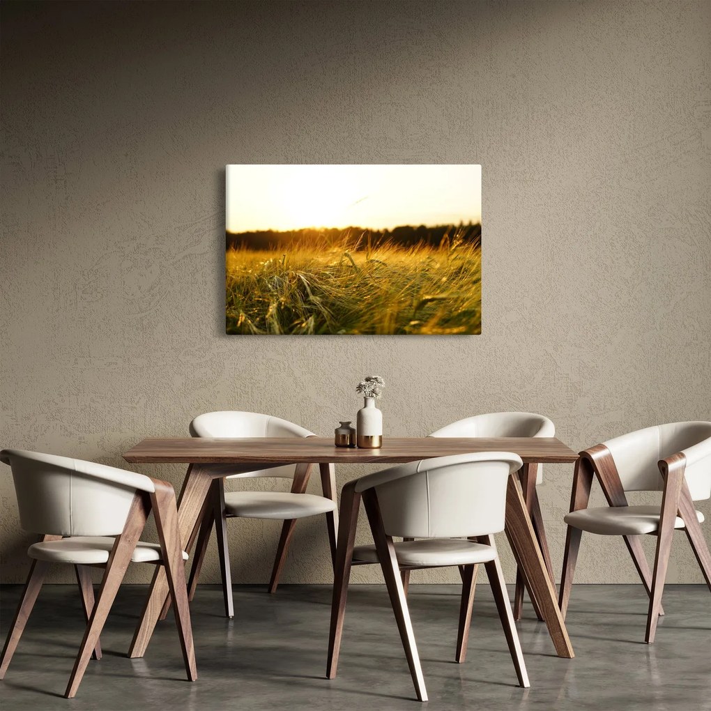 Obraz orosenej trávy (90x60 cm)
