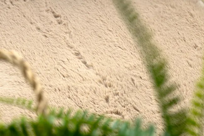 Koberec BUNNY tmavobéžový kruh