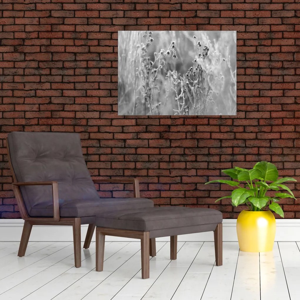 Sklenený obraz - Divoká lúka (70x50 cm)