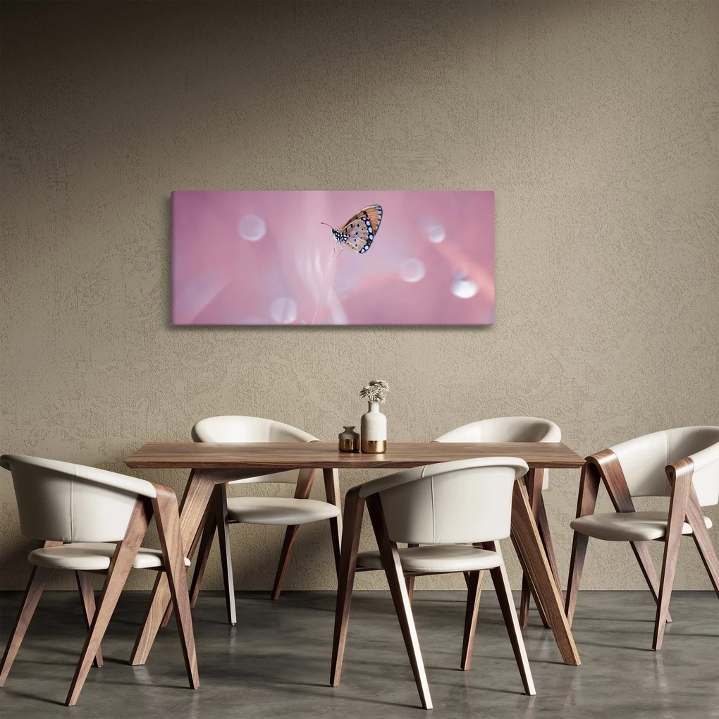 Obraz - Motýľ (120x50 cm)