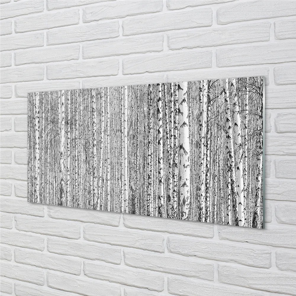 Nástenný panel  Čierna a biela strom les 120x60 cm