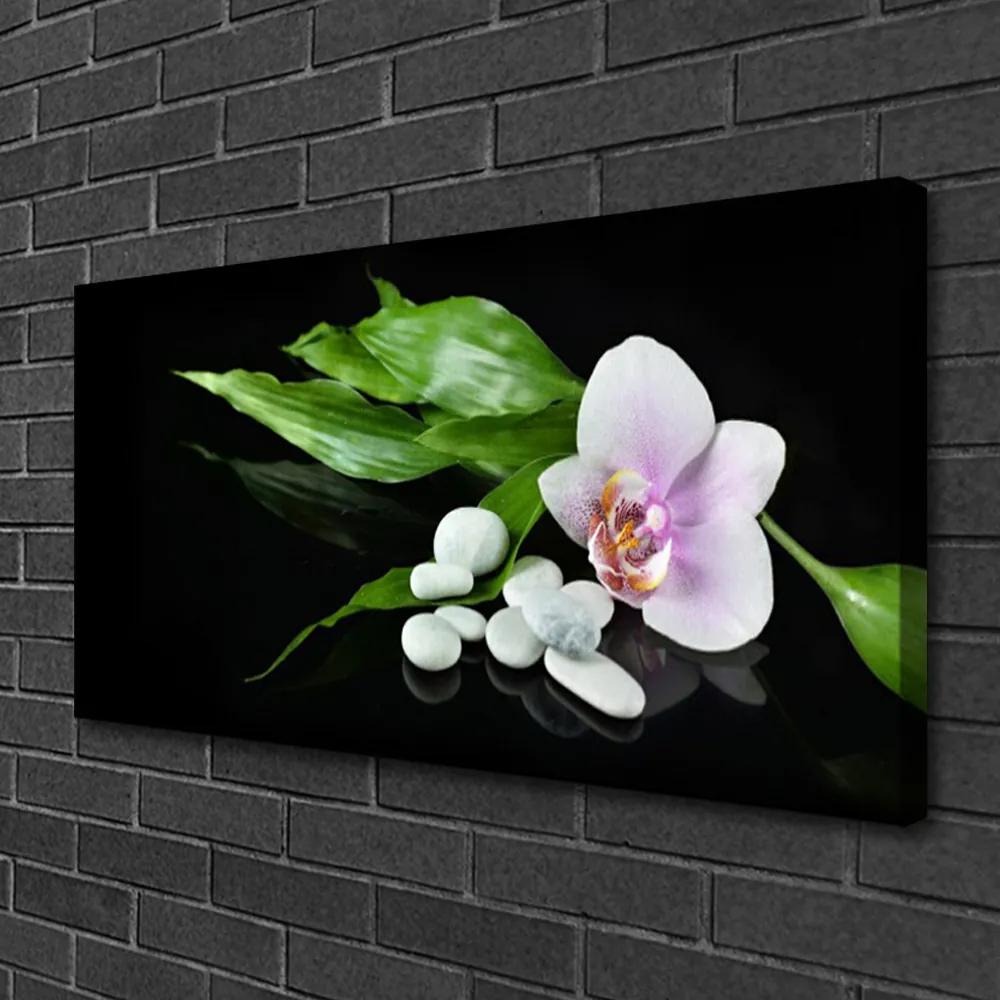 Obraz na plátne Kvet kamene lístie 120x60 cm