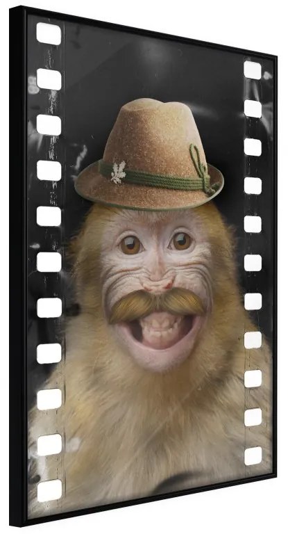 Plagát v ráme-Dressed Up Monkey