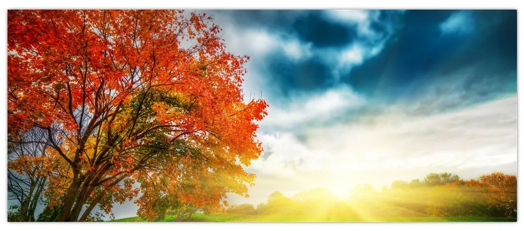 Obraz krajiny zaliate slnečným svitom (120x50 cm)
