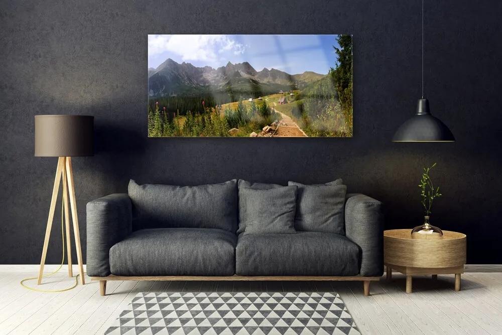 Obraz plexi Hala góry droga natura łąka 120x60 cm