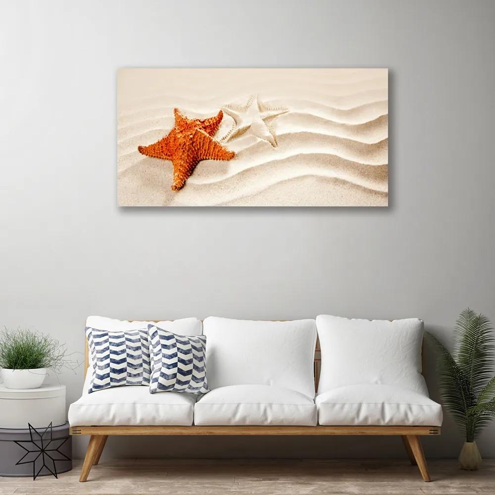 Obraz Canvas Hviezdice na piesku pláž 140x70 cm