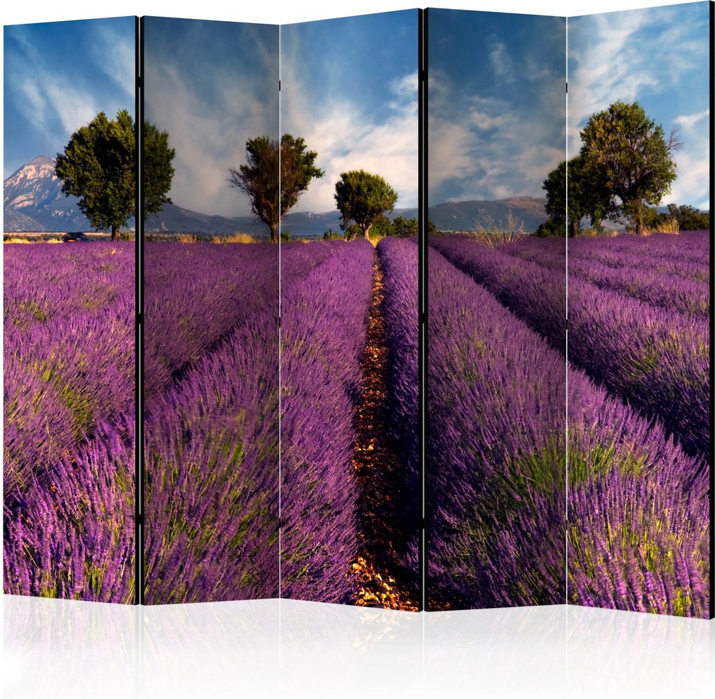 Paraván - Lavender field in Provence, France [Room Dividers] 225x172