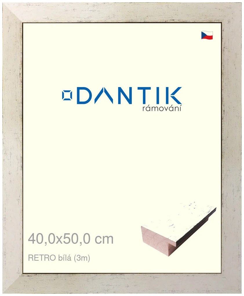 DANTIK rám na obraz 40x50 | RETRO bílá (Sklo Čiré)