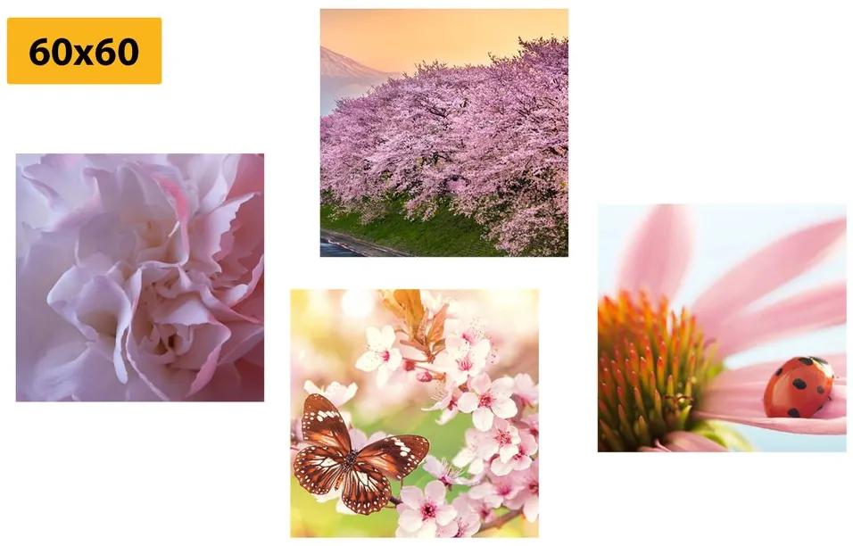 Set obrazov rozkvet prírody Varianta: 4x 40x40