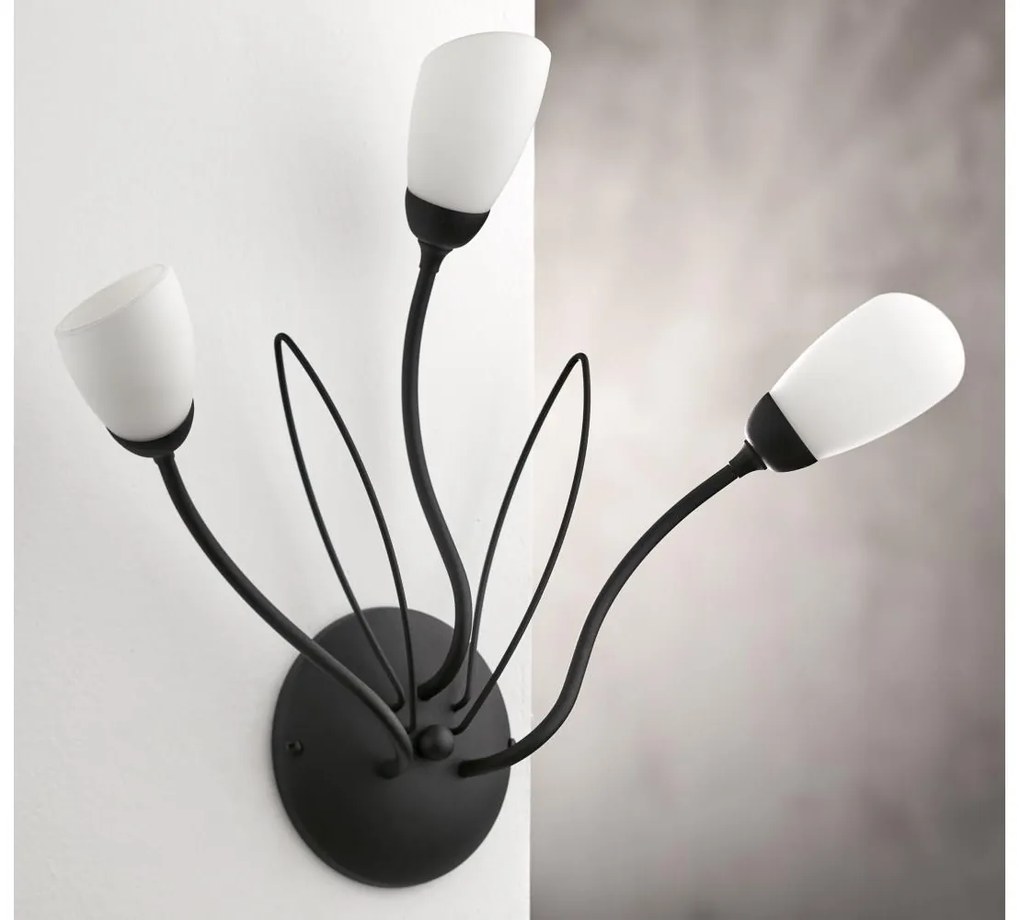 Jupiter 2059 - Nástenné svietidlo GLORIOSA 3xG9/14W/230V čierna