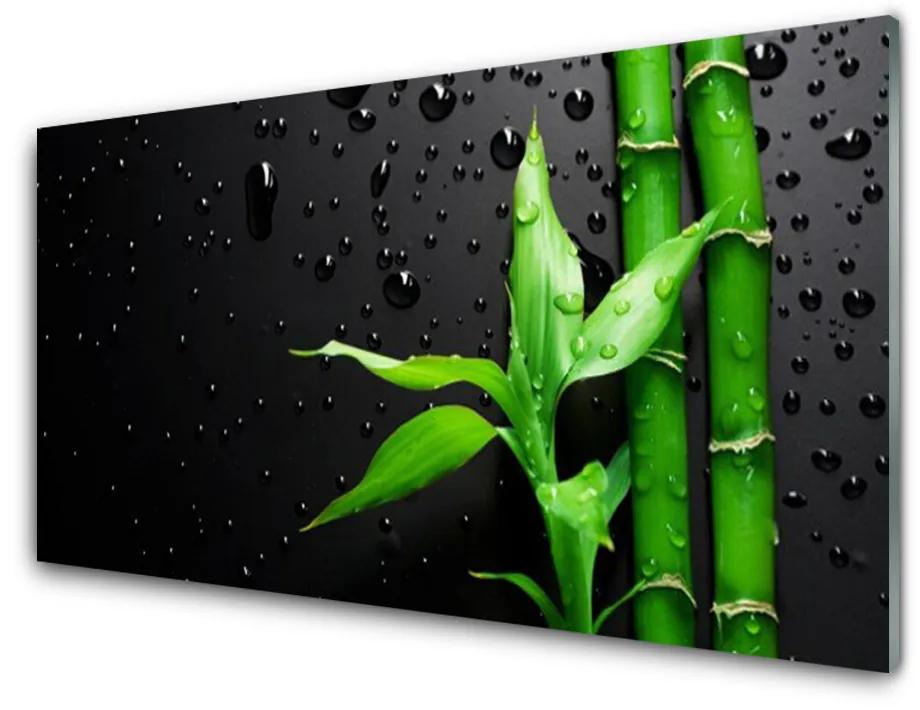 Obraz na skle Bambus listy rastlina 120x60cm