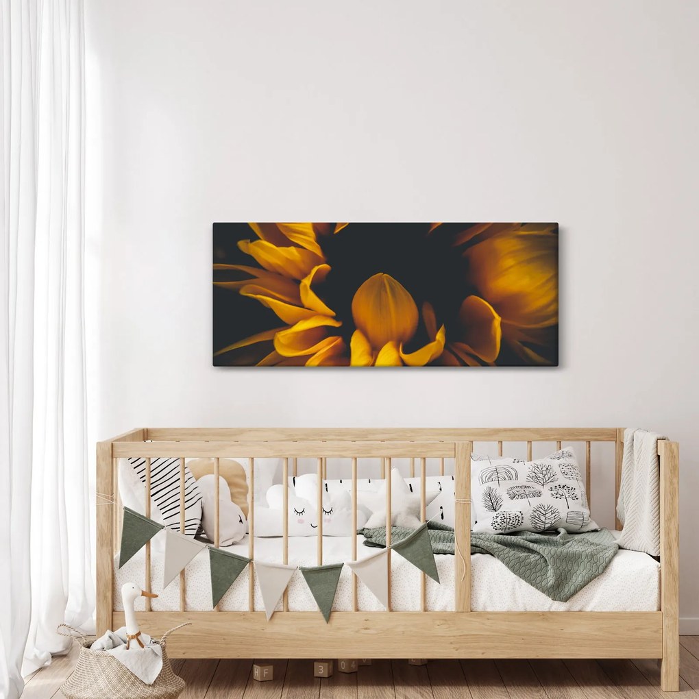 Obraz - Slnečnica v čiernom pozadí (120x50 cm)