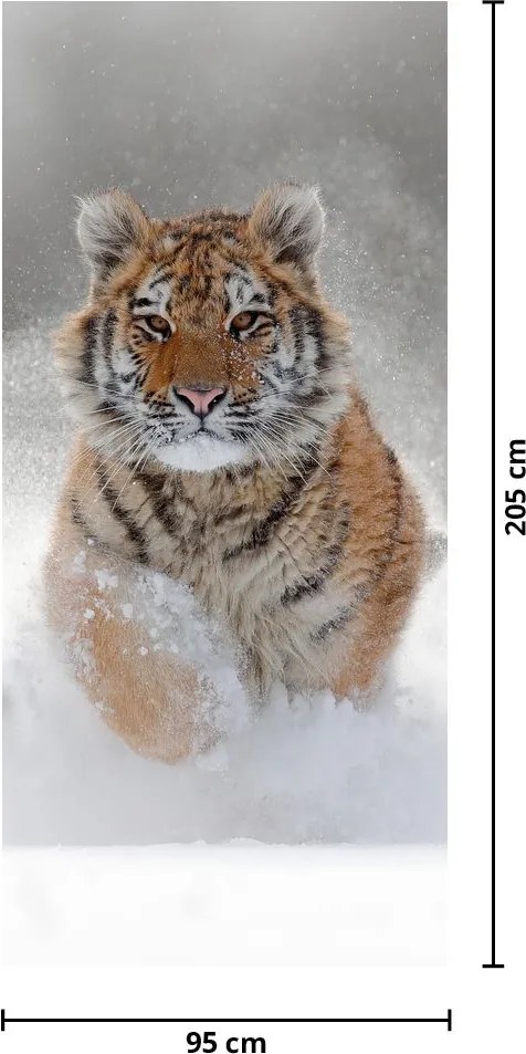 Fototapeta na dvere - Bežiaci tiger v snehu (95x205cm)