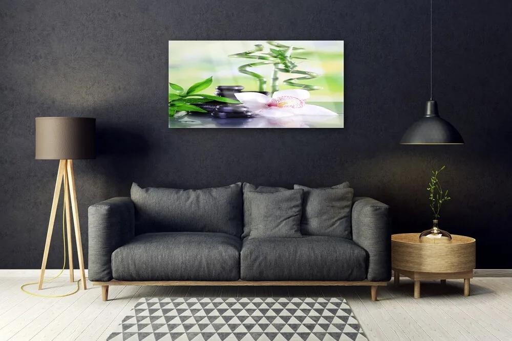 Skleneny obraz Orchidea bambus zen kúpele 120x60 cm