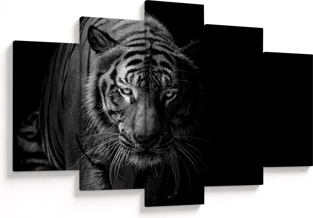 Obraz divokého tigra (150x105 cm)