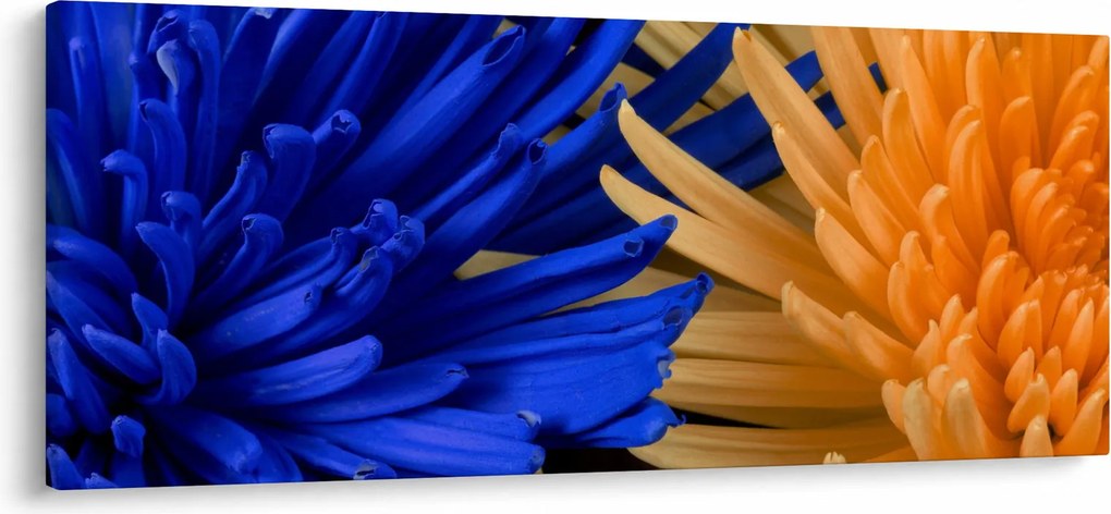 Detailný obraz kvetov (120x50 cm)