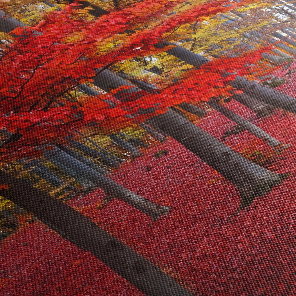 Obraz - Červený les (150x105 cm)
