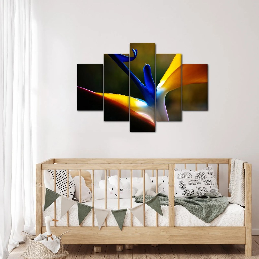 Obraz - Exotický kvet (150x105 cm)