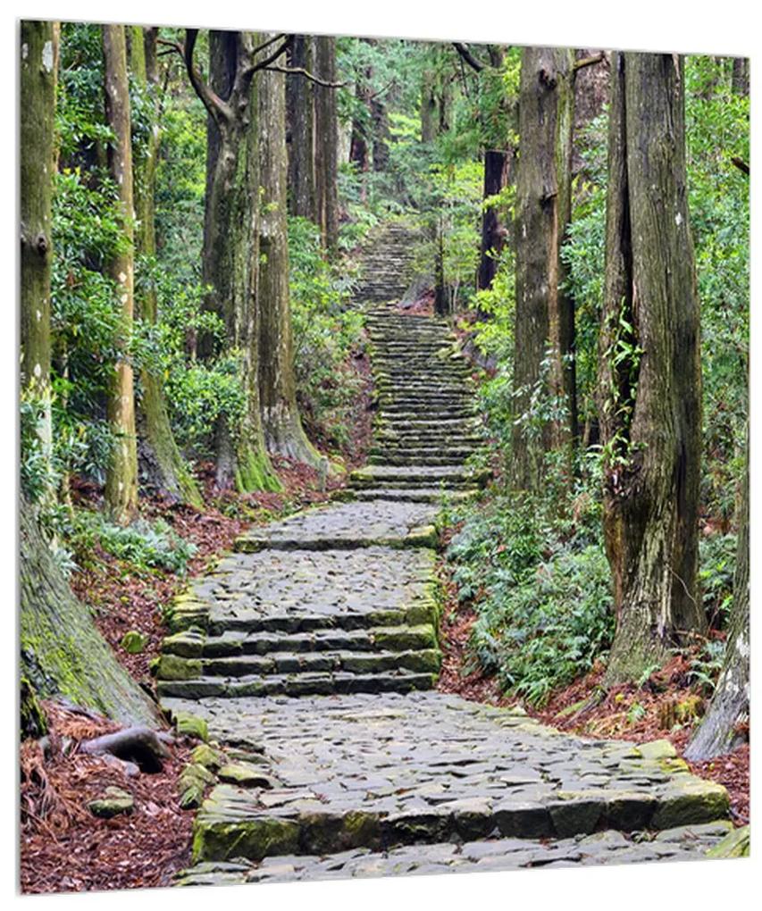 Obraz kamenných schodov v lese (30x30 cm)