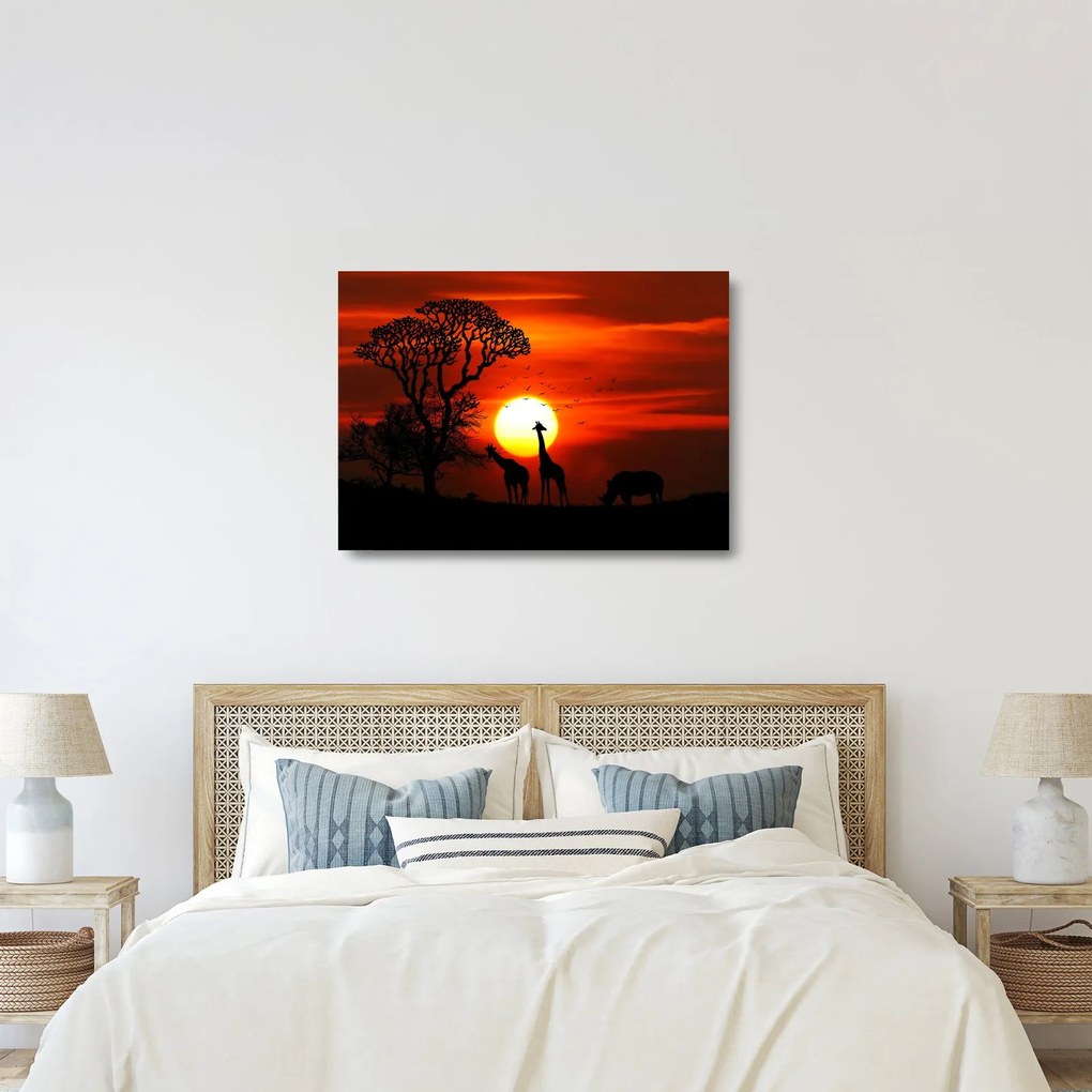 Sklenený obraz - Siluety zvierat pri západe slnka (70x50 cm)