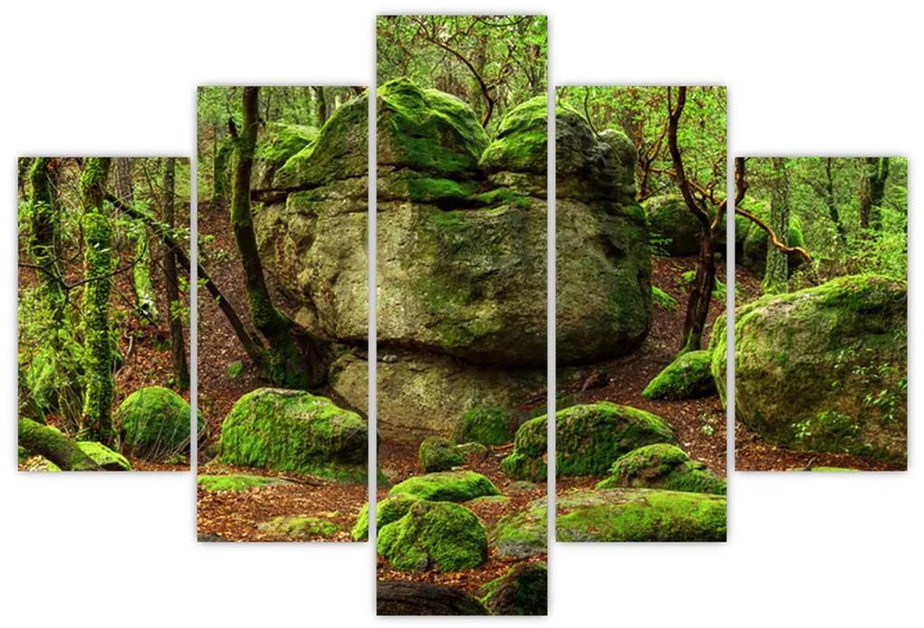 Obraz čarovného lesa (150x105 cm)