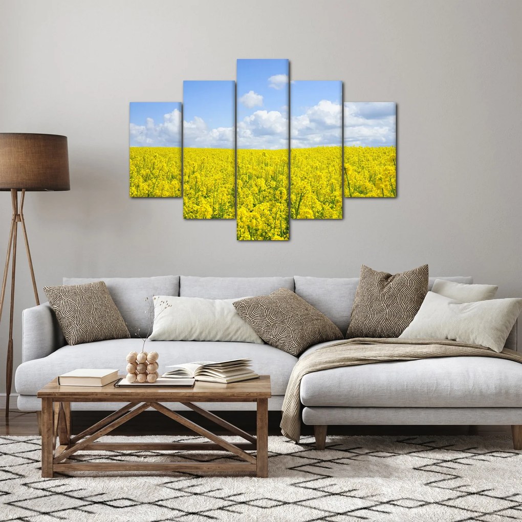 Obraz žltého poľa (150x105 cm)