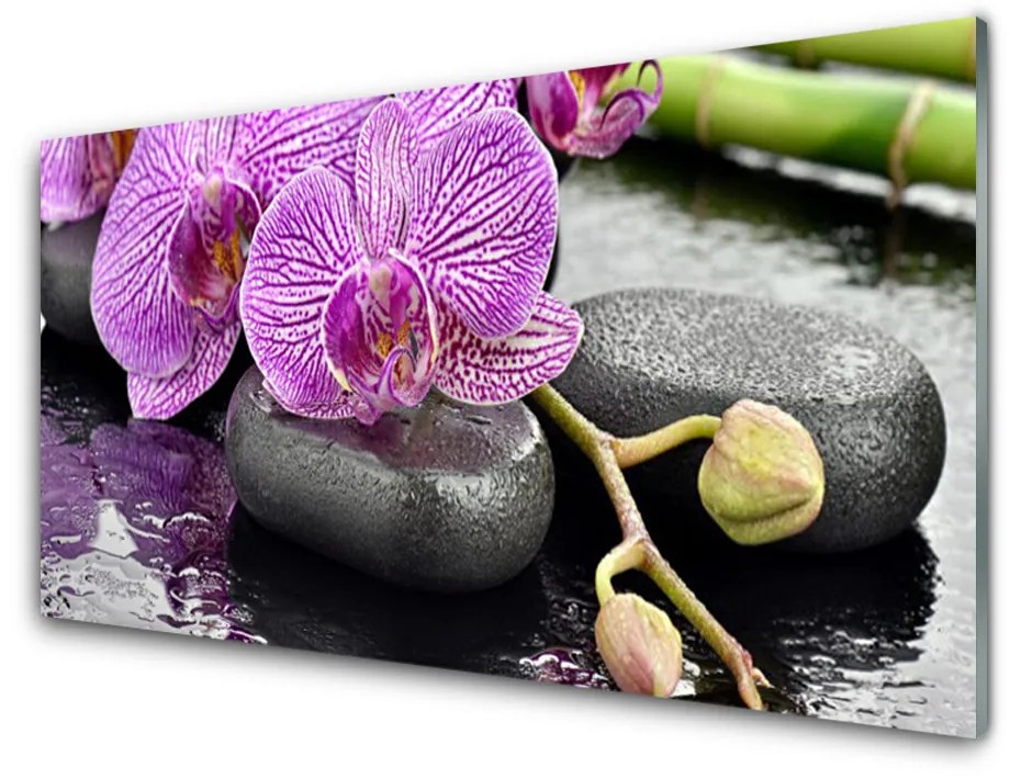 Skleneny obraz Kamene zen orchidea kúpele 140x70 cm